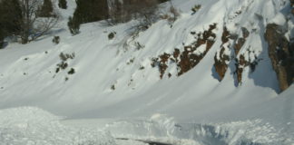 ASAJA DE LEÓN SE OPONE ROTUNDAMENTE A QUE LA JUNTA REDUZCA UN 26% LAS URNAS EN LAS ELECCIONES AGRARIAS DEL 11 DE FEBRERO