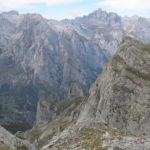 Las seis noticias agrarias de la semana – 15/12/2017