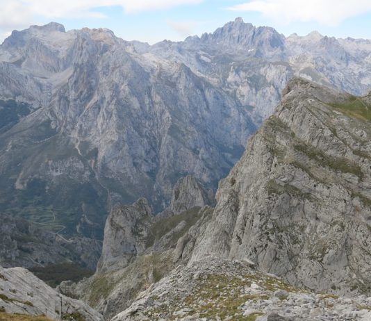 Las seis noticias agrarias de la semana – 15/12/2017