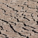 Aceptación de las ayudas de la sequía