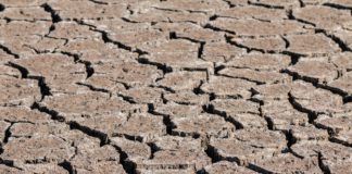 ASAJA considera que los plazos de hacienda tienen que adaptarse al avance del estado de alarma decretado por el gobierno