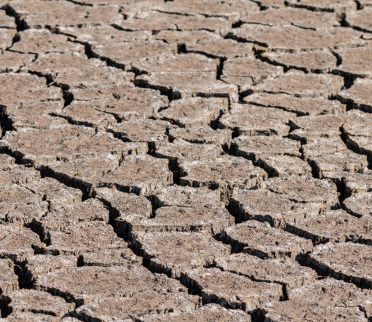 Las seis noticias agrarias de la semana – 09/03/2018