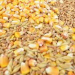 Convocatoria de manifestación de cerealistas para el viernes 11 de octubre en Valladolid