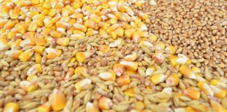 Cotizaciones de la Lonja Agropecuaria de León – Sesión 08/05/2019