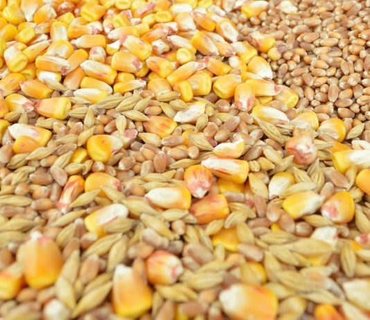 Convocatoria de manifestación de cerealistas para el viernes 11 de octubre en Valladolid