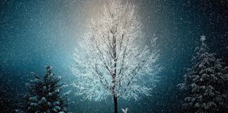 Tarjetas de navidad felicitación_navidad