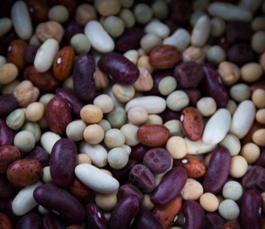 Las legumbres secas – alubias y garbanzos