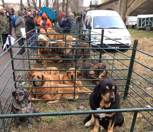 Las seis noticias agrarias de la semana – 26/01/2018