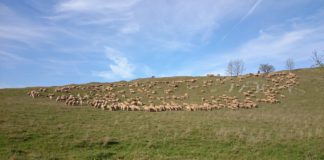 Documento de propuestas a los partidos políticos de León