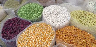 Agricultura para Podemos