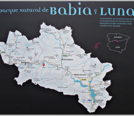 Asaja pide compensaciones para los ganaderos de la zona de influencia del Parque Natural de Babia y Luna