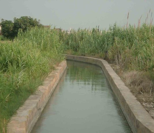 ASAJA pide que no se restrinja el uso del agua a las pequeñas comunidades de regantes y a los particulares