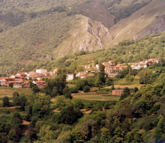 Las seis noticias agrarias de la semana – 19/11/2021