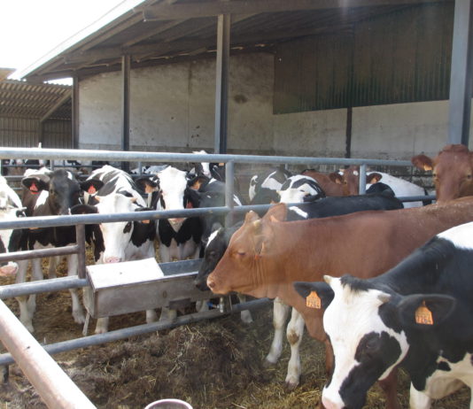 Las seis noticias agrarias de la semana – 06/04/2018