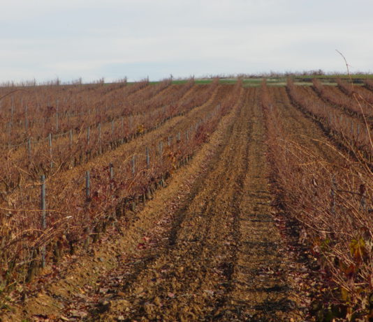 Las seis noticias agrarias de la semana – 16/02/2018