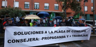 Manifestación en Ponferrada contra la plaga de conejos