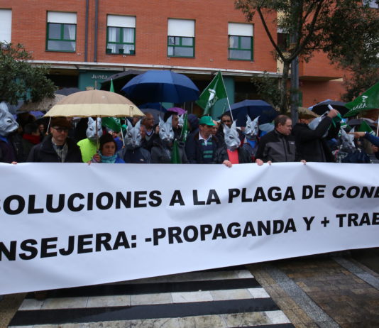 Manifestación en Ponferrada contra la plaga de conejos