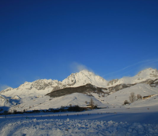 Cotizaciones de la Lonja Agropecuaria de León – 28/03/2018