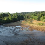 La Valduerna agoniza