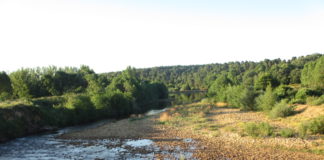 Las seis noticias agrarias de la semana – 23/10/2020