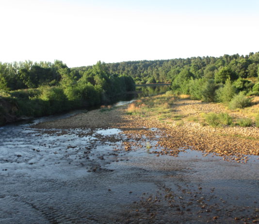 Las seis noticias agrarias de la semana – 23/10/2020