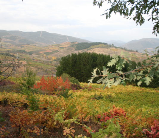 Los cincuenta de Prada