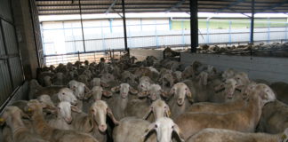 Las seis noticias agrarias de la semana – 12/04/2019