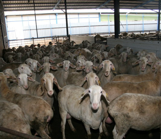 Las seis noticias agrarias de la semana – 11/05/2018