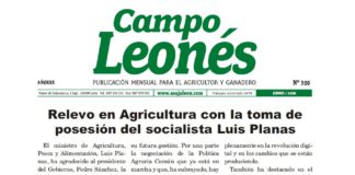 Campo Leonés junio de 2018
