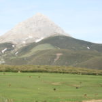 Borrador de la Orden de la Solicitud Única 2020