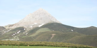 Borrador de la Orden de la Solicitud Única 2020