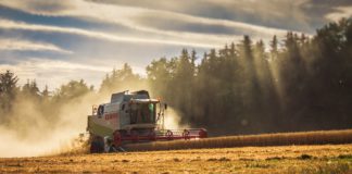 Cotizaciones de la Lonja Agropecuaria de León – Sesión 20/03/2019