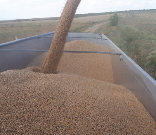 Cotizaciones de la Lonja Agropecuaria de León – sesión 24/08/2022