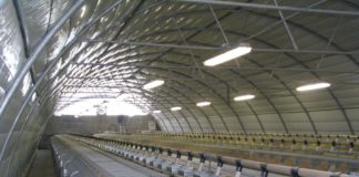 Jornada INTERCUN uso racional de antibióticos en cunicultura