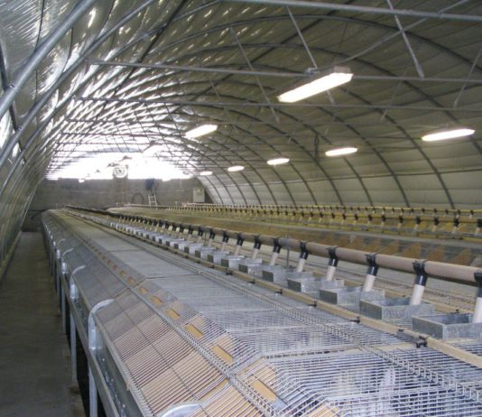 Las seis noticias agrarias de la semana – 19/10/2018