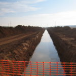 ¿Son de las nuestras?