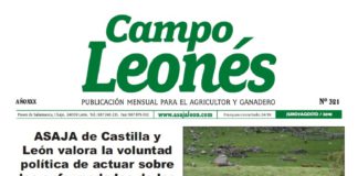 Campo Leonés julio-agosto 2018