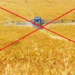 Superficie de interés ecológico