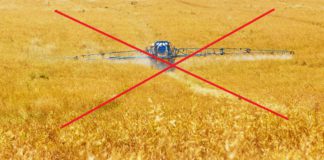 Superficie de interés ecológico