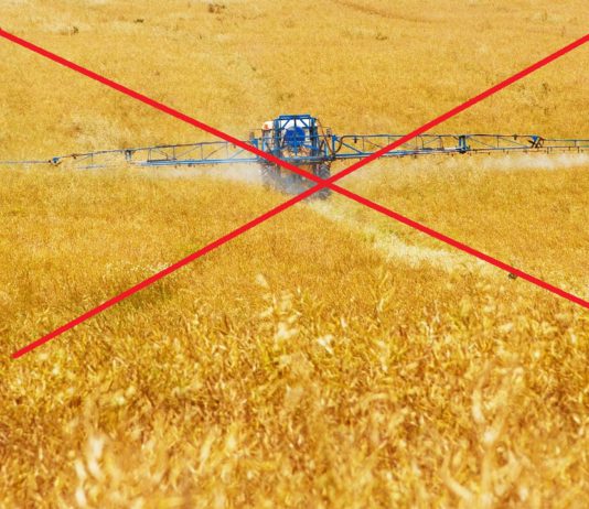 Superficie de interés ecológico