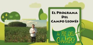 Nuevos horarios del programa de TV «A pie del campo»