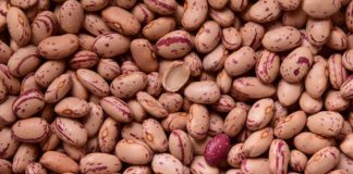 Cotizaciones de la Lonja Agropecuaria de León – 02/09/2020