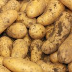 Cotizaciones de la Lonja Agropecuaria de León – Sesión 23/09/2020