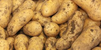 Cotizaciones de la Lonja Agropecuaria de León – Sesión 23/09/2020