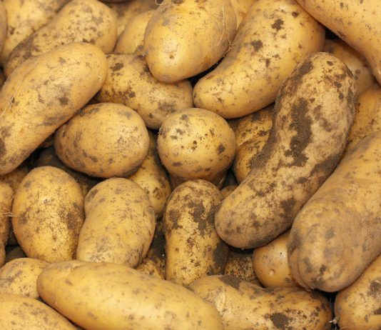 Cotizaciones de la Lonja Agropecuaria de León – Sesión 23/09/2020