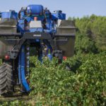 Albarín en La Mancha