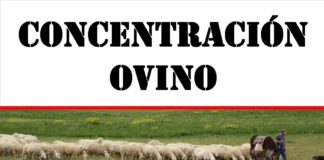 Concentración ovino el 30 de octubre de 2018