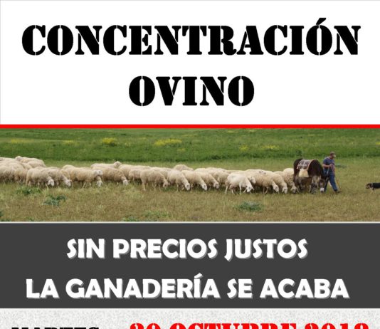 Concentración ovino el 30 de octubre de 2018
