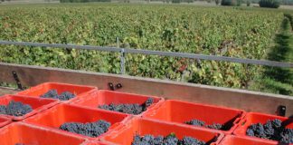 Convenio colectivo actividades agropecuarias 2019