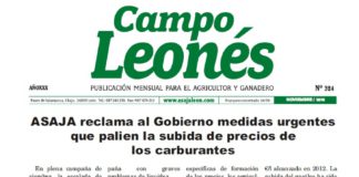 Campo Leonés noviembre de 2018